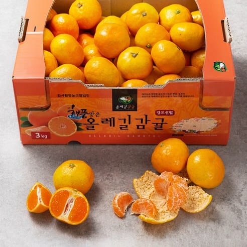 올레길감귤 5kg(대과), 하루 만에 큰 폭 하락했어요